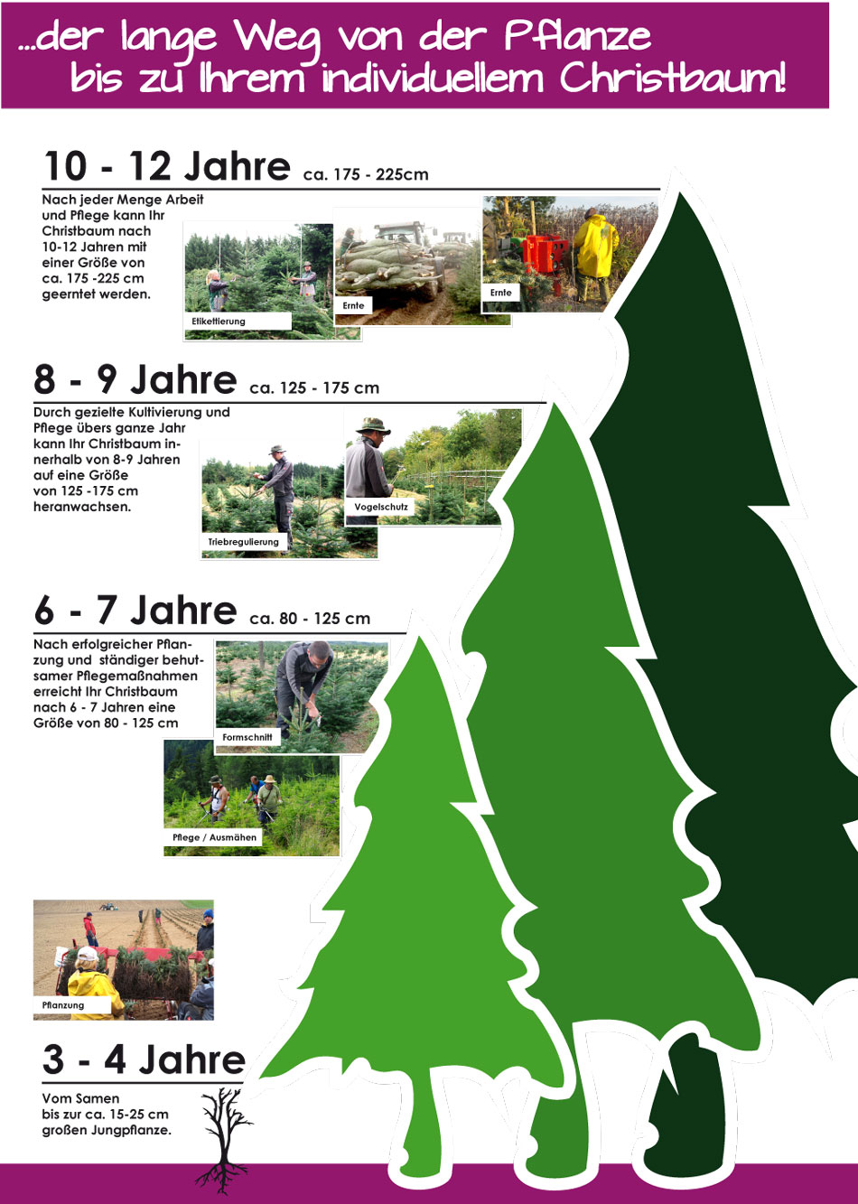 altersbestimmung poschbaum